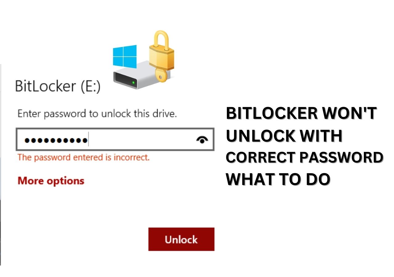 BitLocker wont unlock with correct password