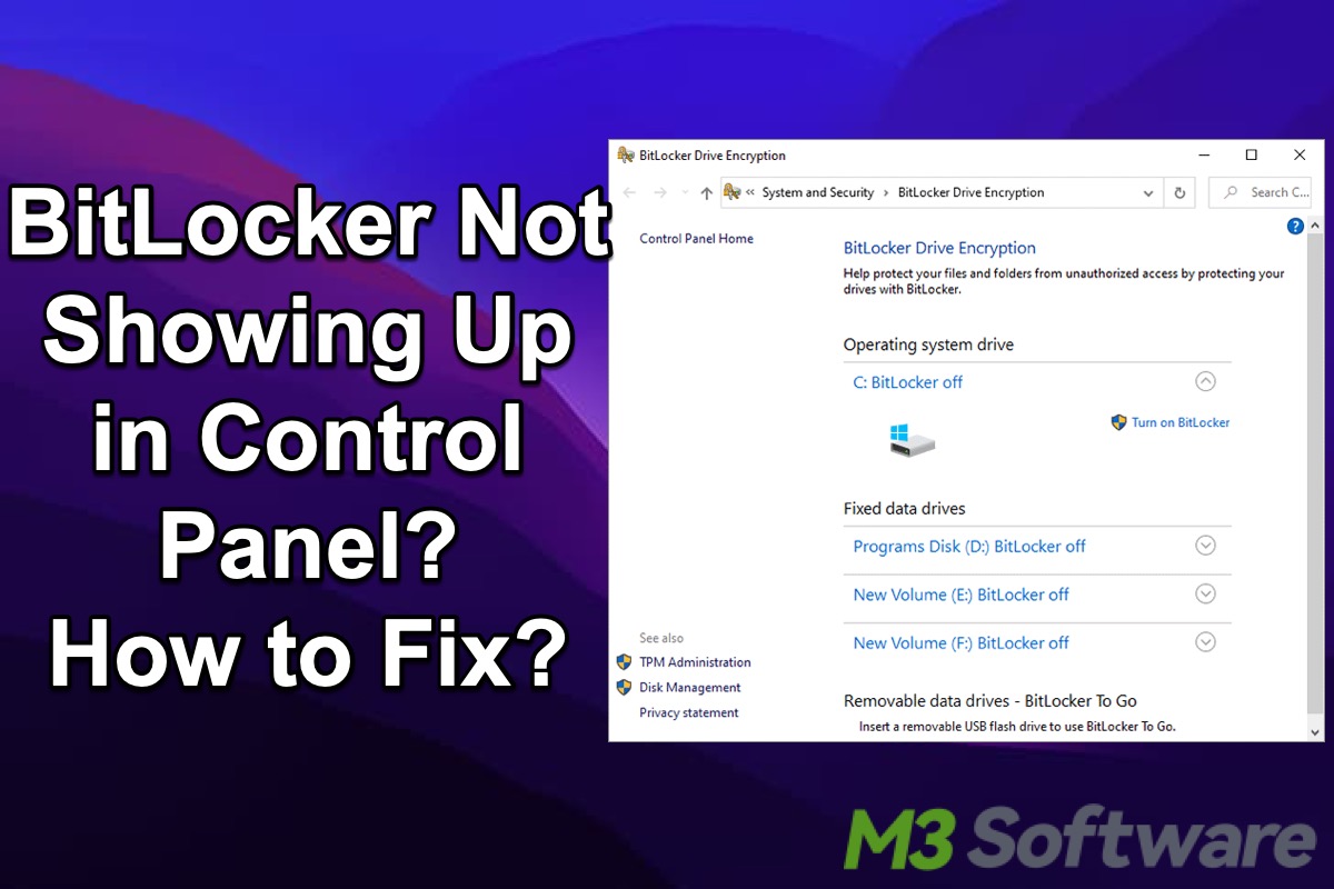 BitLocker not showing up in Control Panel