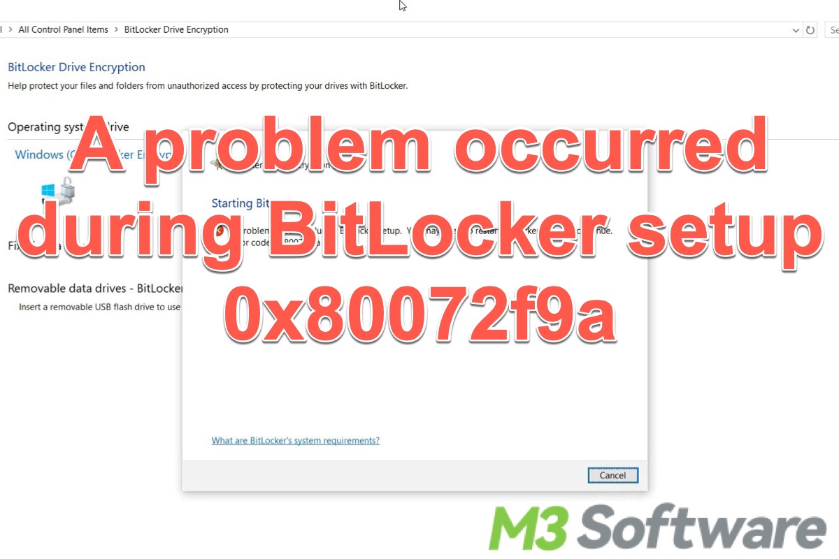 A problem occurred during BitLocker setup