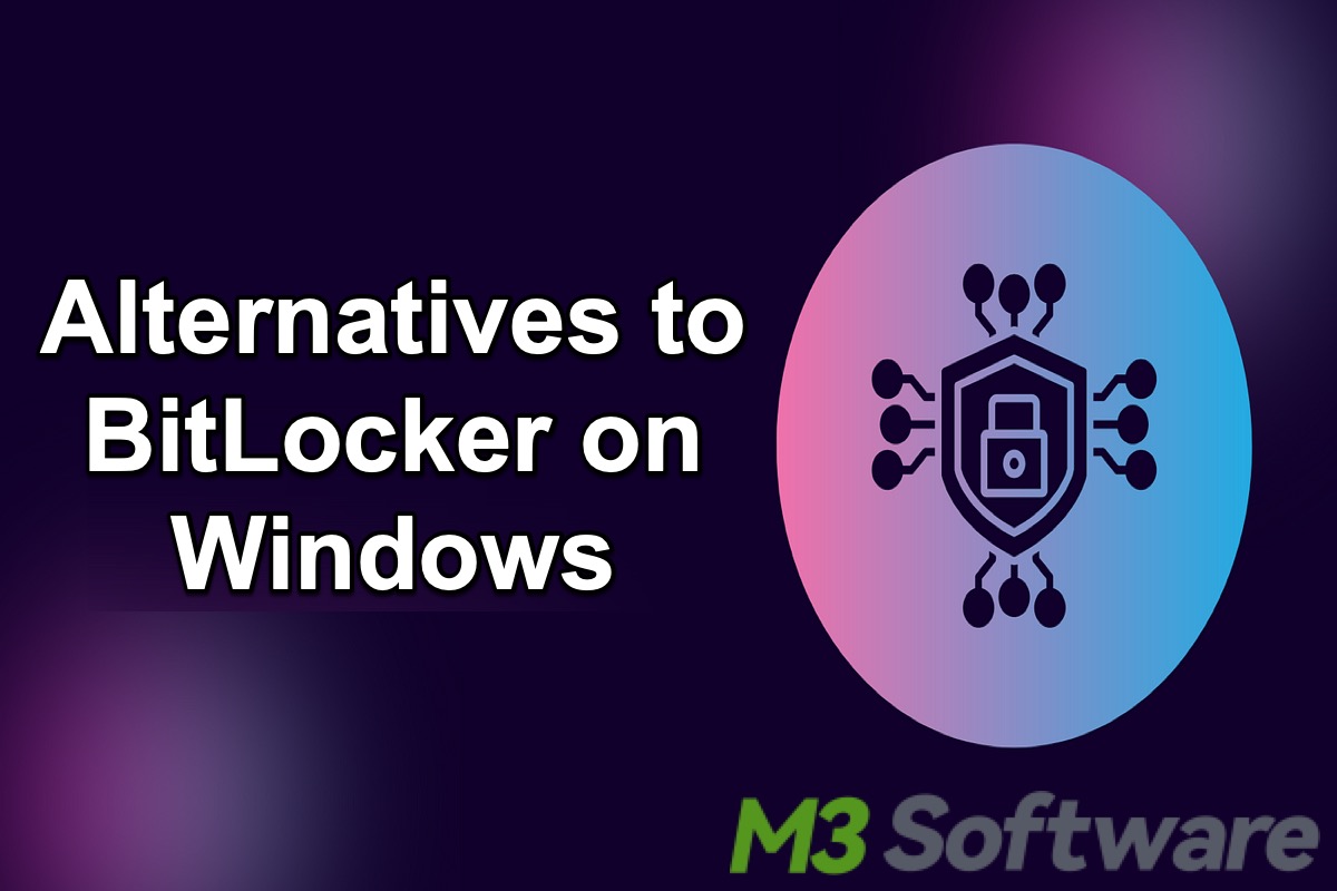 alternatives to BitLocker on Windows