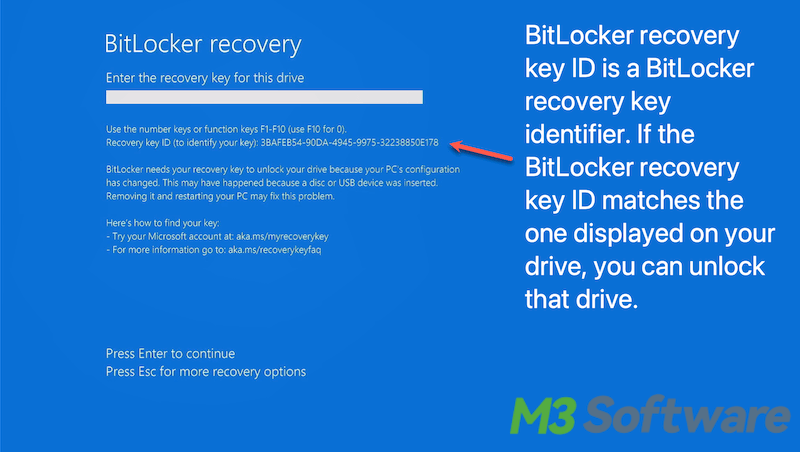 BitLocker recovery key ID