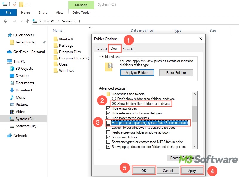show hidden files in Windows File Explorer