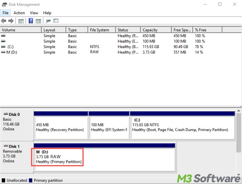 RAW USB drive in Disk Management