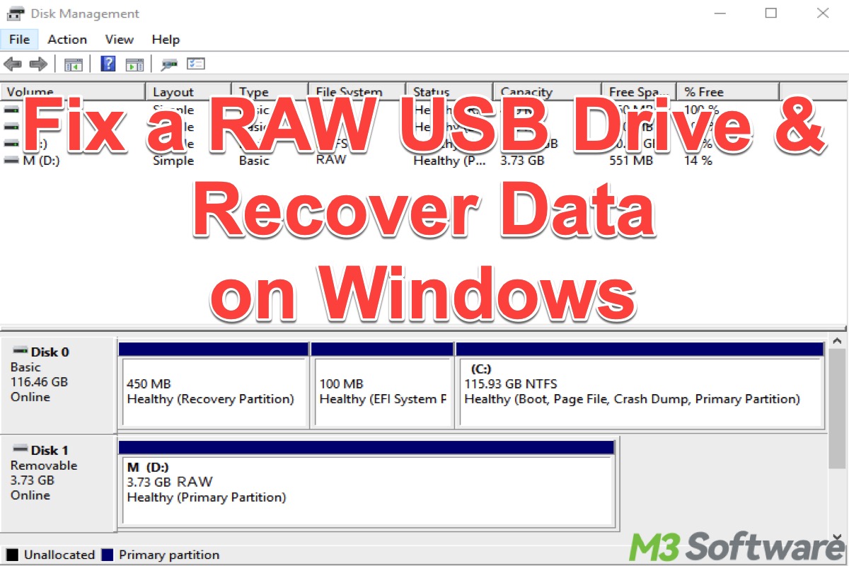 RAW USB drive recovery