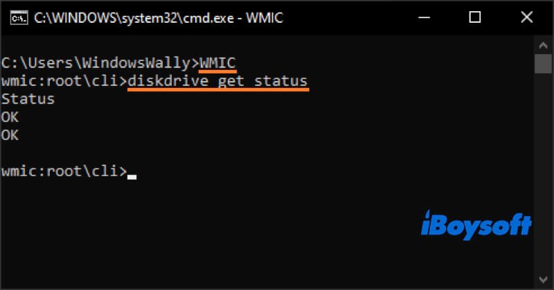 run wmic check on Windows