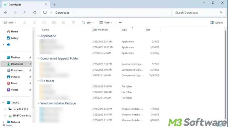 Downloads folder in Windows 11