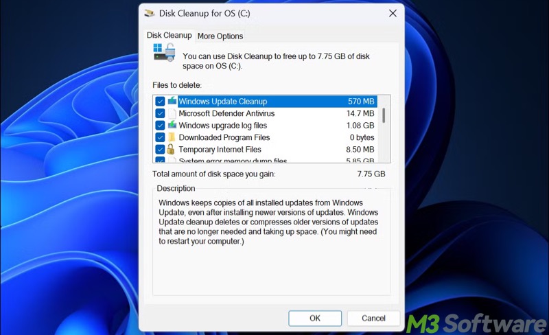 Disk Cleanup tool in Windows 11