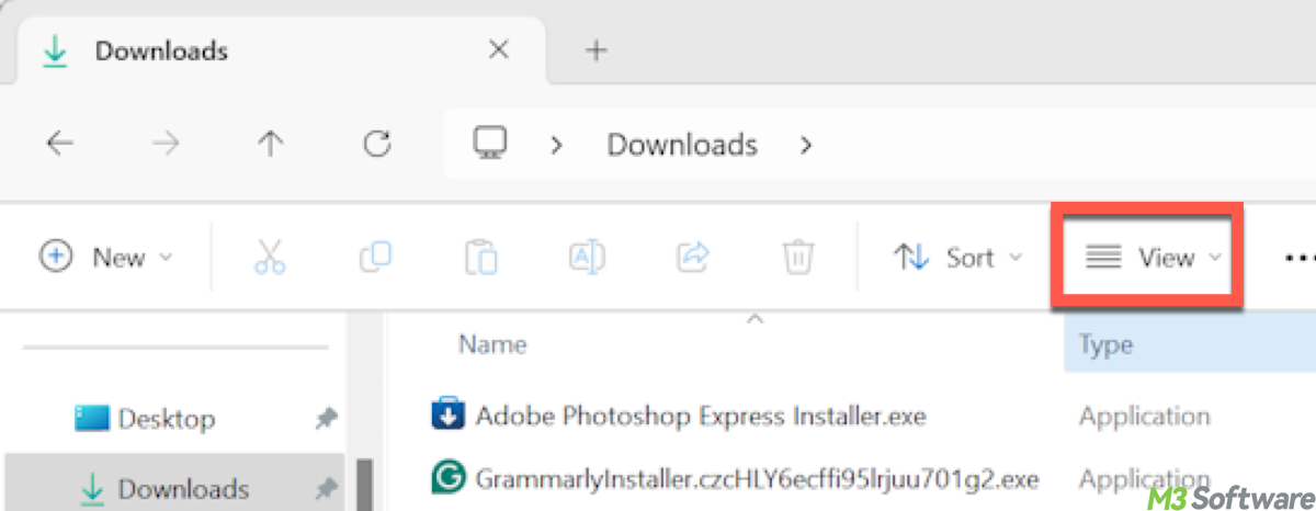 View in File Explorer