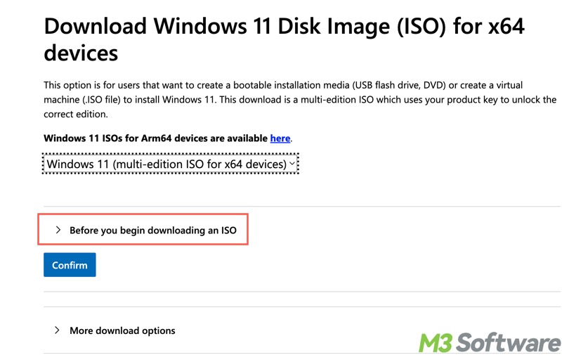 before you begin downloading an iso Windows 11 ISO download