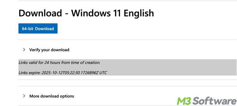 Windows 11 ISO download