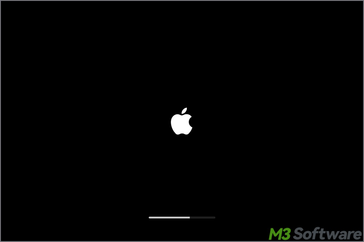Mac stuck on loading screen