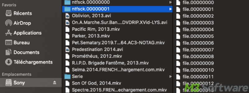 ntfsck 00000000 folder in macOS