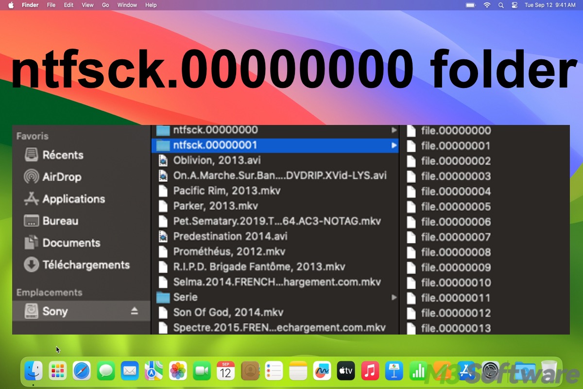 ntfs 00000000 folder