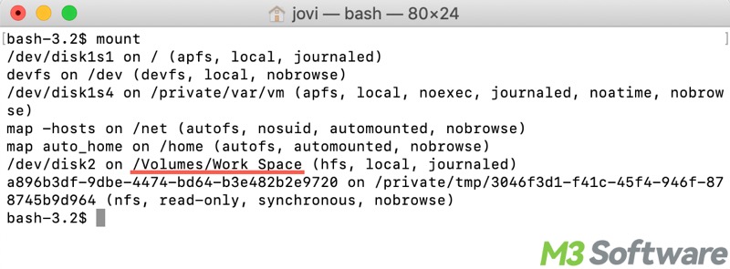 mount disks in macOS terminal
