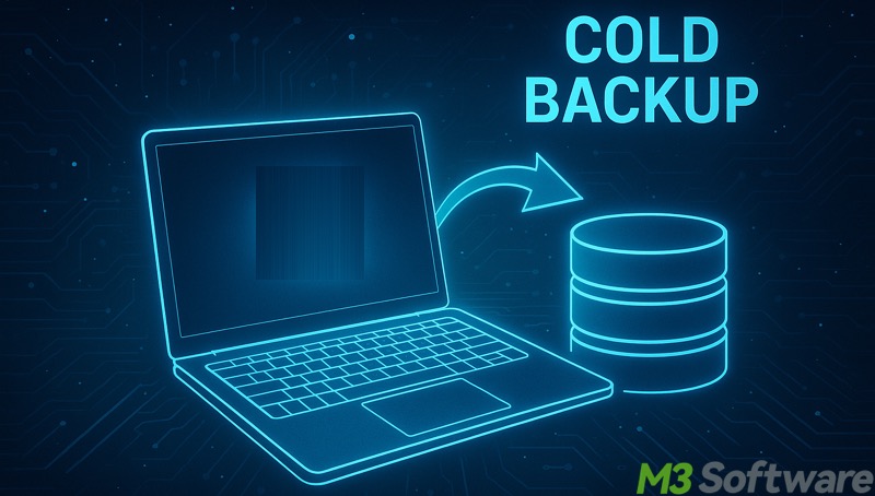 Cold Backup
