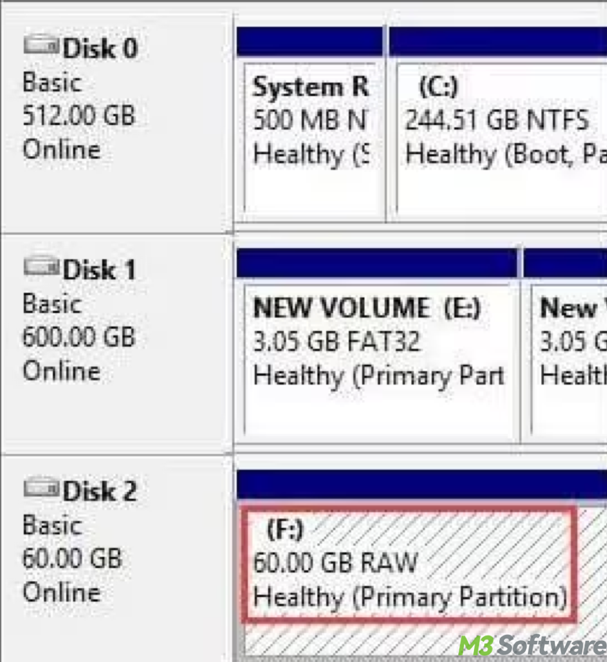 RAW partition in Disk Management