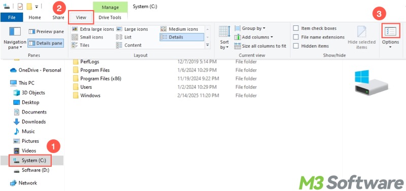 show hidden files in File Explorer
