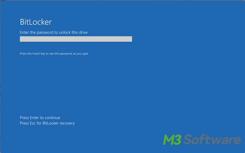 BitLocker preboot screen password