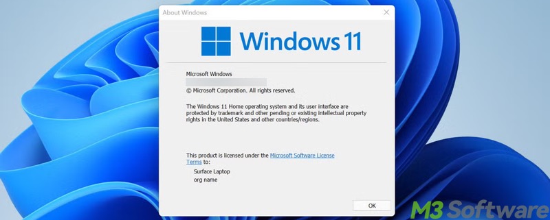Winver about Windows 11