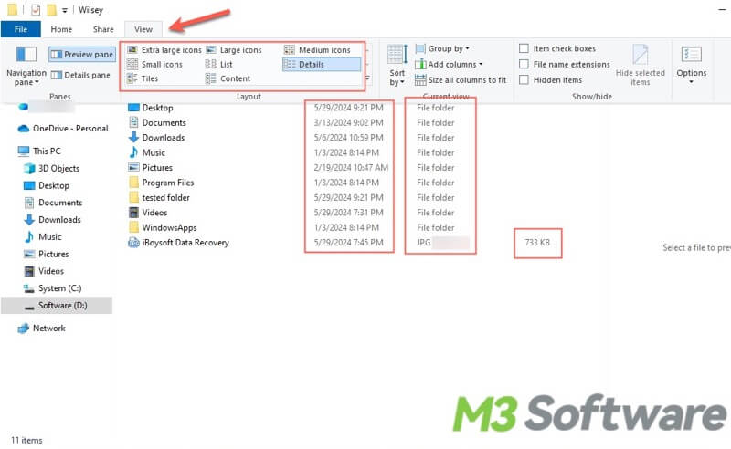 details viewing option in Windows File Explorer
