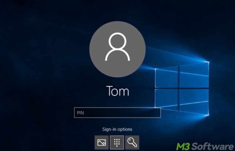 Windows 10 sign in page enter PIN