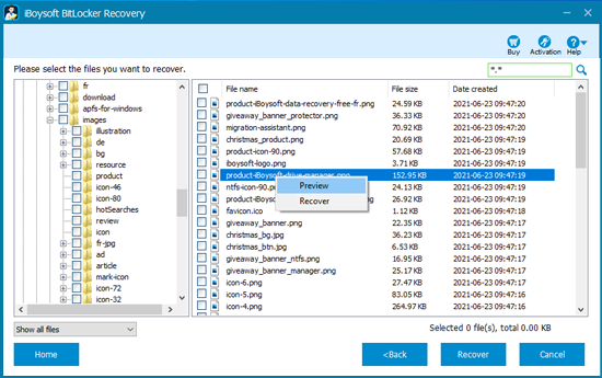 File preview of iBoysoft BitLocker Recovery