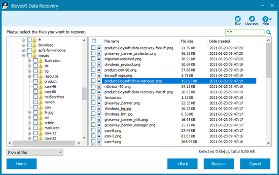 File preview of iBoysoft Data Recovery