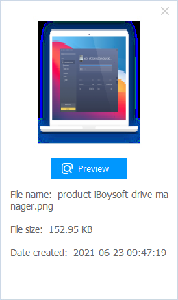 File preview of iBoysoft Data Recovery