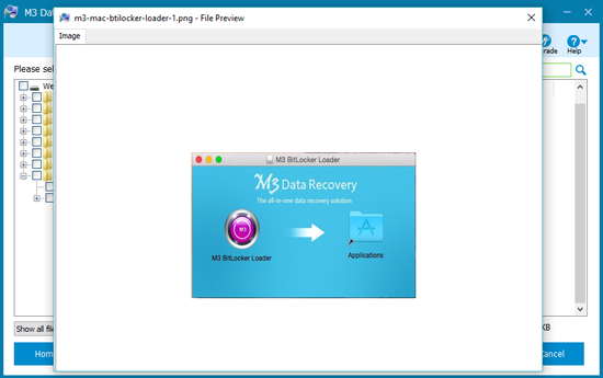 File preview of iBoysoft Data Recovery