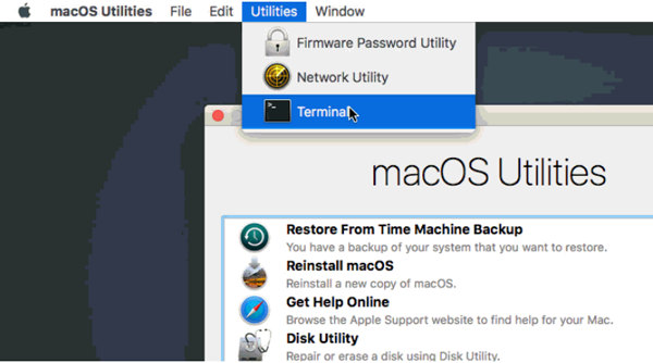 Run Terminal in macOS Recovery mode