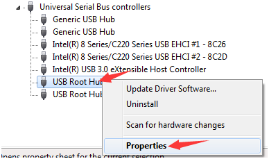 USB root hub