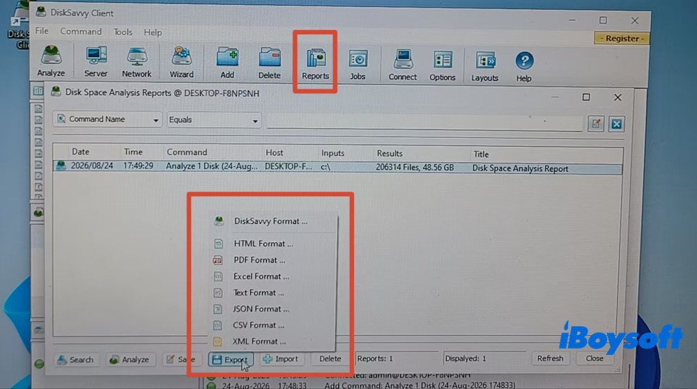 DiskSavvy exports report