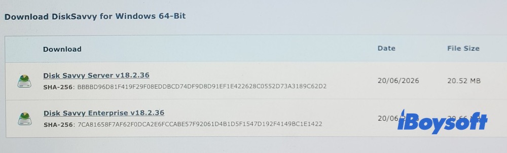 Download DiskSavvy